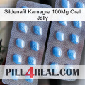 Sildenafil Kamagra 100Mg Oral Jelly viagra4